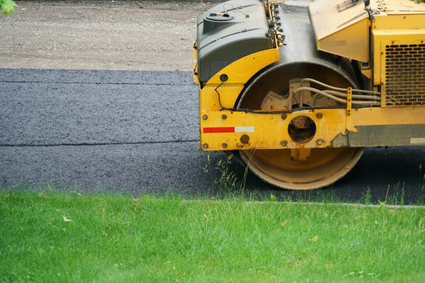 Driveway Pressure Washing